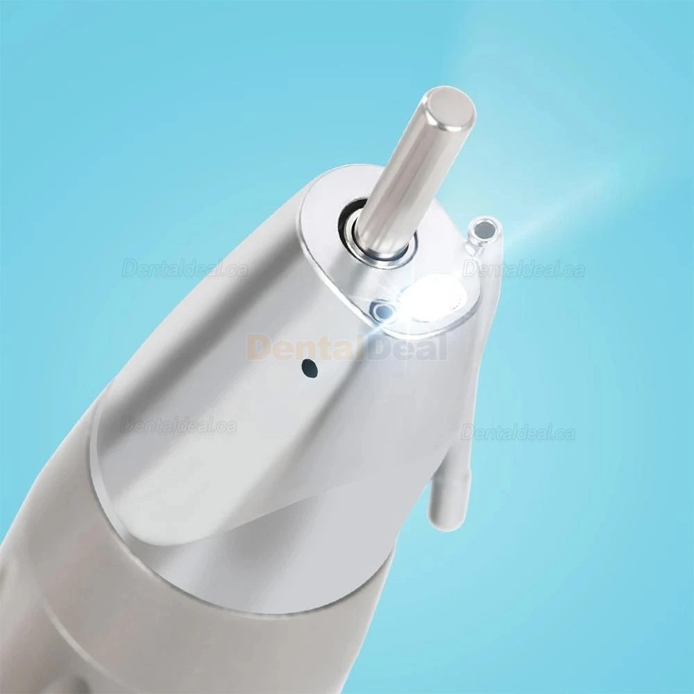 Westcode Dental Straight Nose Handpiece with Light E-Type